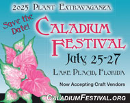 Lake Placid's Caladium Festival