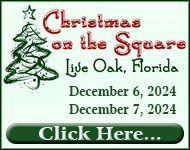 Christmas on the Square - Live Oak, Florida
