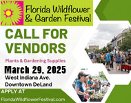 Florida Wildflower Festival - Deland, Florida