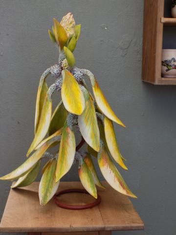DSCN1839.jpg