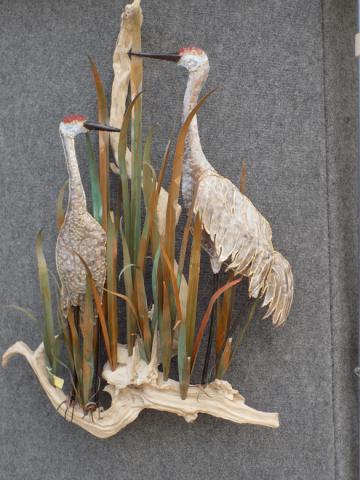 DSCN3542.jpg